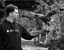 Manuel Maier junto a Narsha, un gavilán mixto que hace control biológico, en el Rosedal del Prado. 