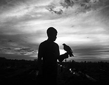 Cetrero posa con su Gavilan para el diario el Observador. Control de aves en Uruguay.