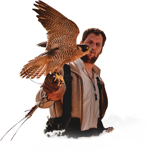 El cetrero Manuel Maier posa con el Halcón Peregrino, en Uruguay. 